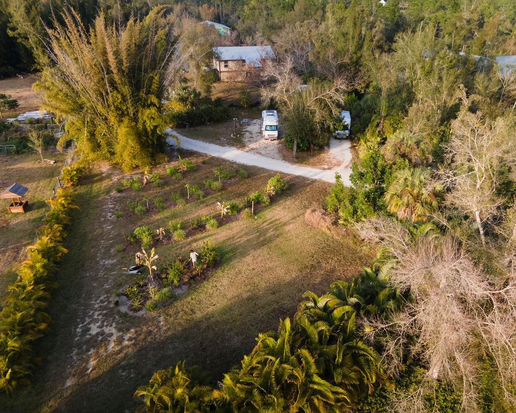 Aerial view of the food forest